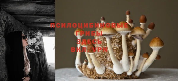 прущие крисы Алексин