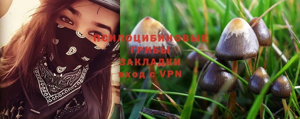 прущие крисы Алексин