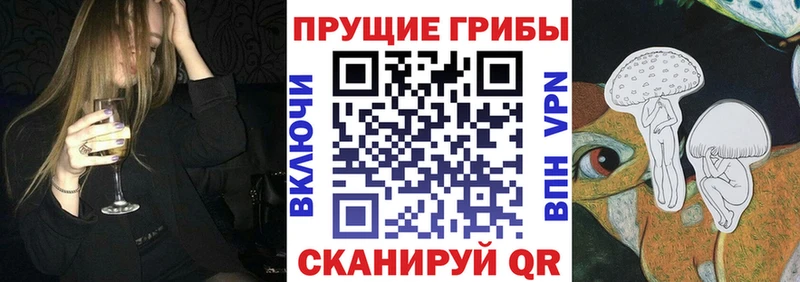 Псилоцибиновые грибы Psilocybe  Невьянск 